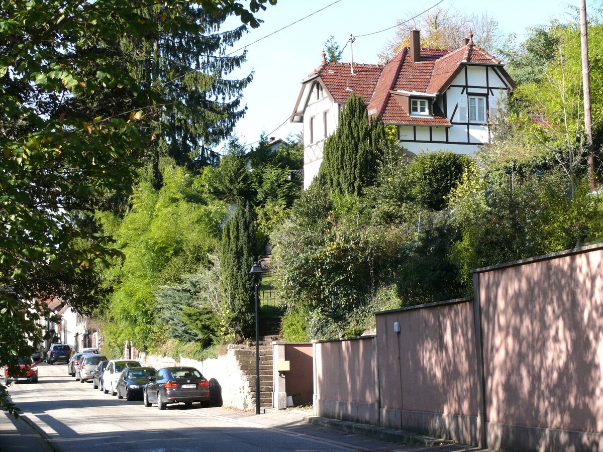 La Petite Villa des Oiseaux - La Petite Pierre