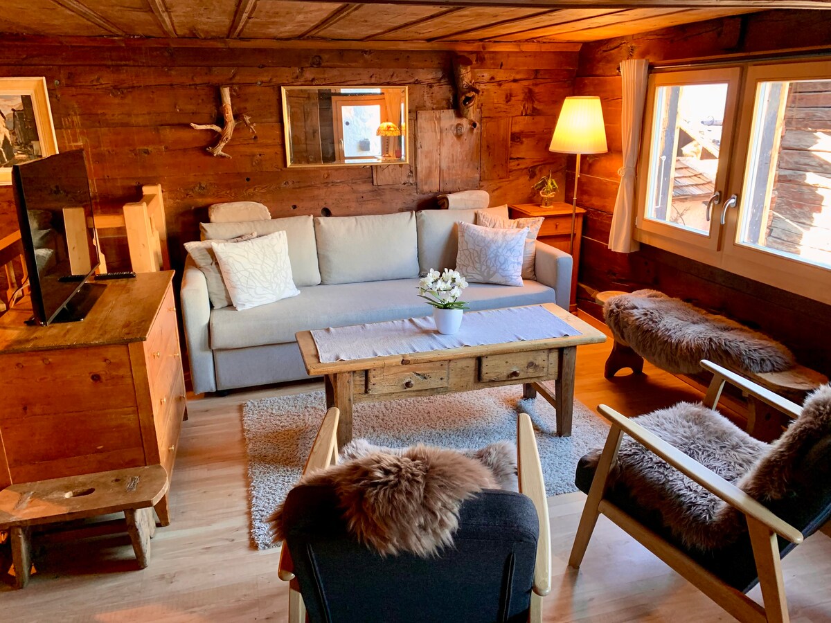 典型度假木屋中的舒适公寓