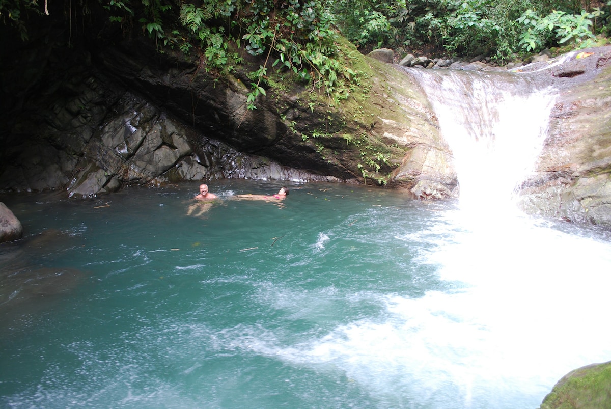 Jungle Getaway, private bungalow, natural pools