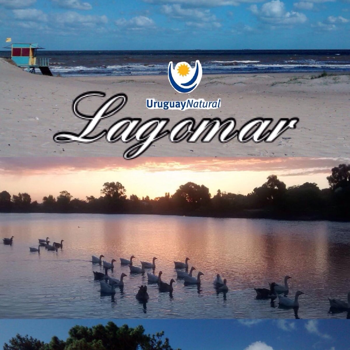 拉戈马尔（ Lagomar ）是理想的度假屋、情侣情侣和家庭度假。