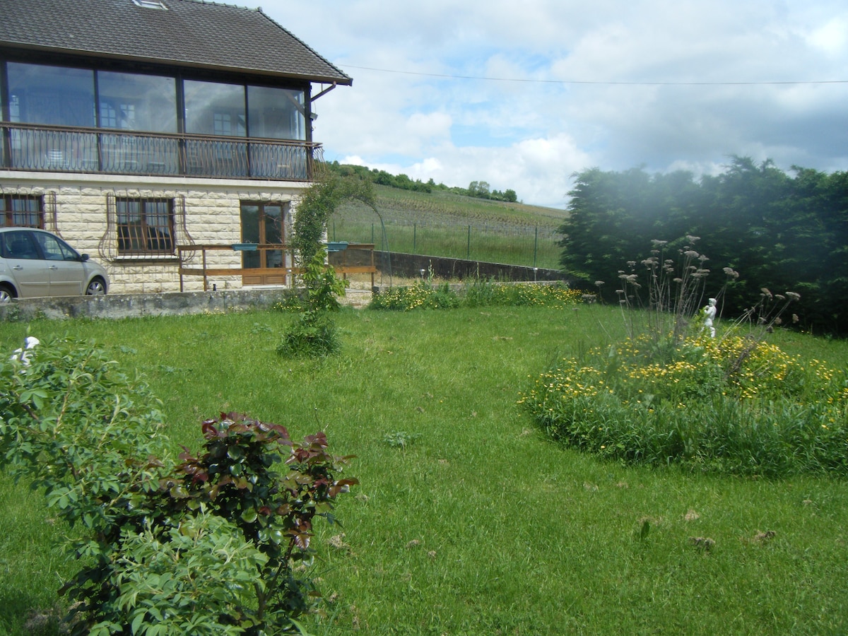 阿夫里尔山藤（ Vines of Mont Avril ）