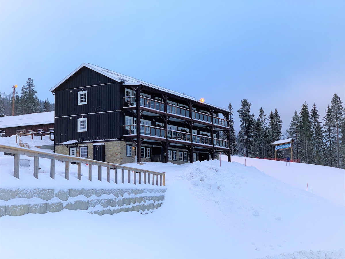Vemdalens bästa ski in/out I Björnrike vid Bräjks