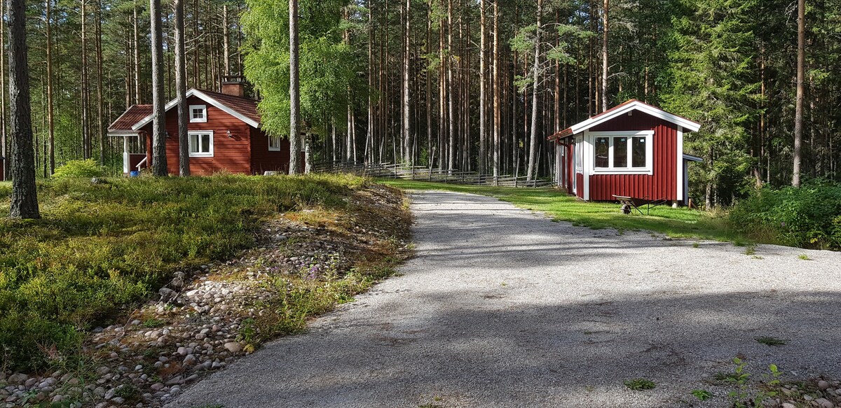 Idyllsikt och avskilt boende vid skogssjö