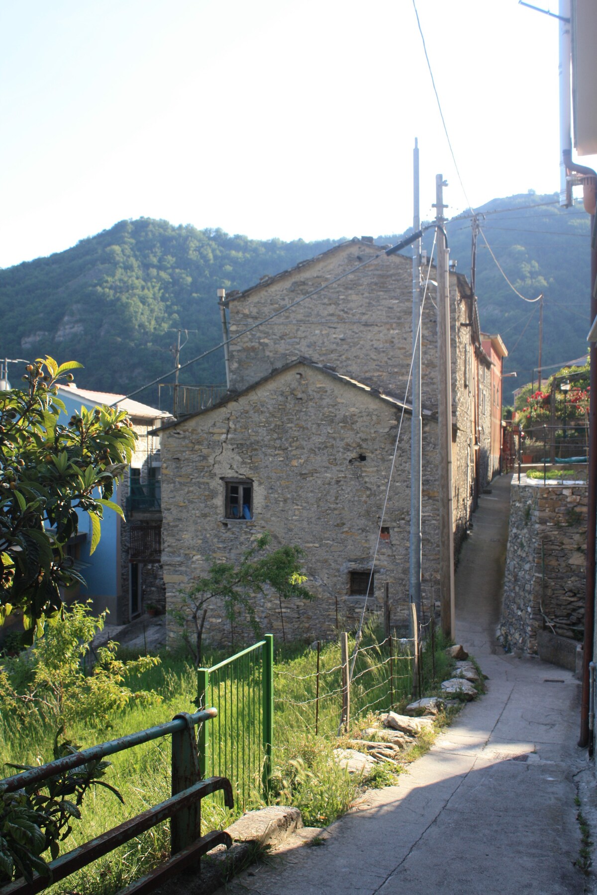 Teresa 's House, Levà