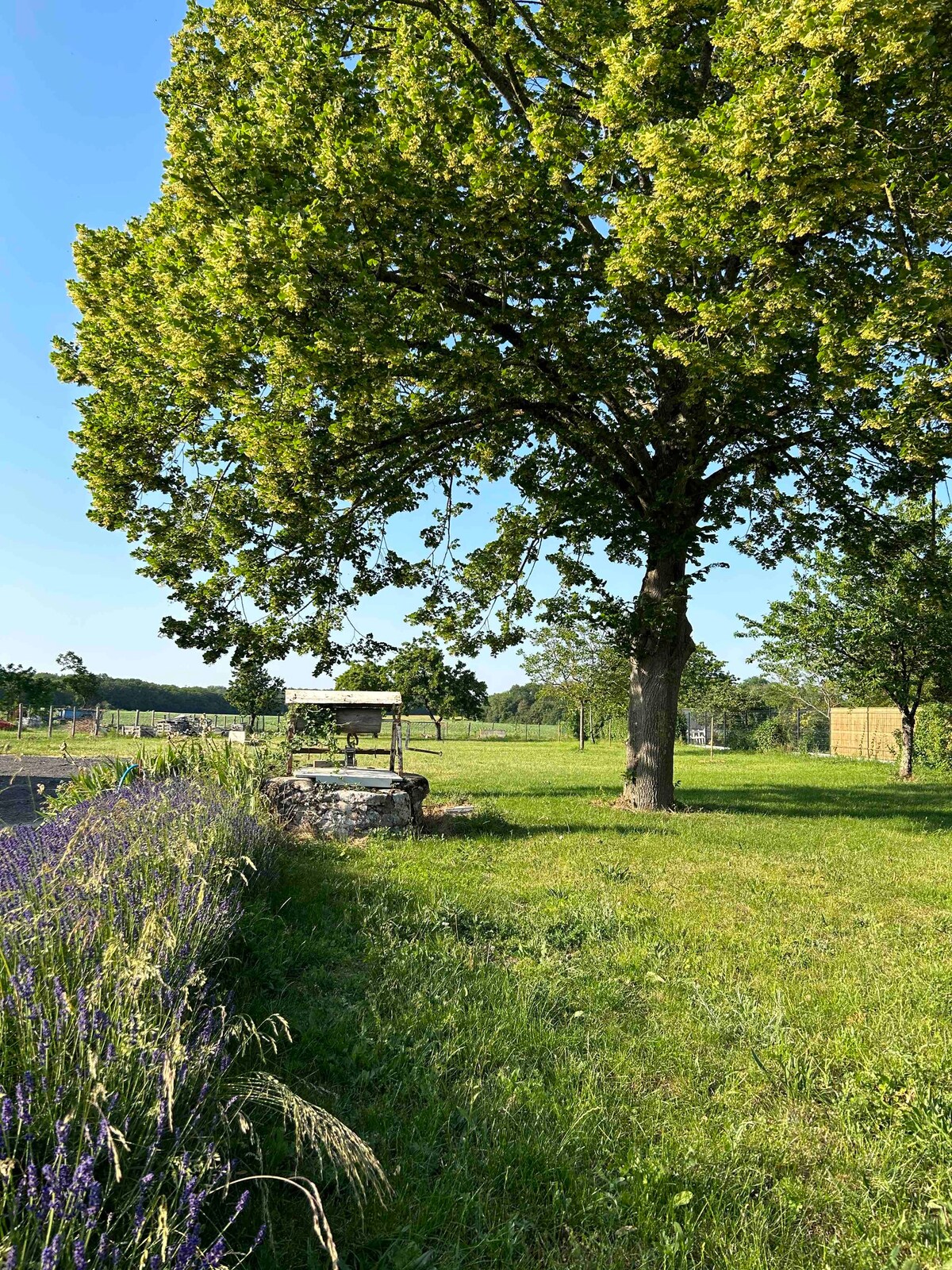 Le Clos des Buis2, piscine, entre Tours et Amboise