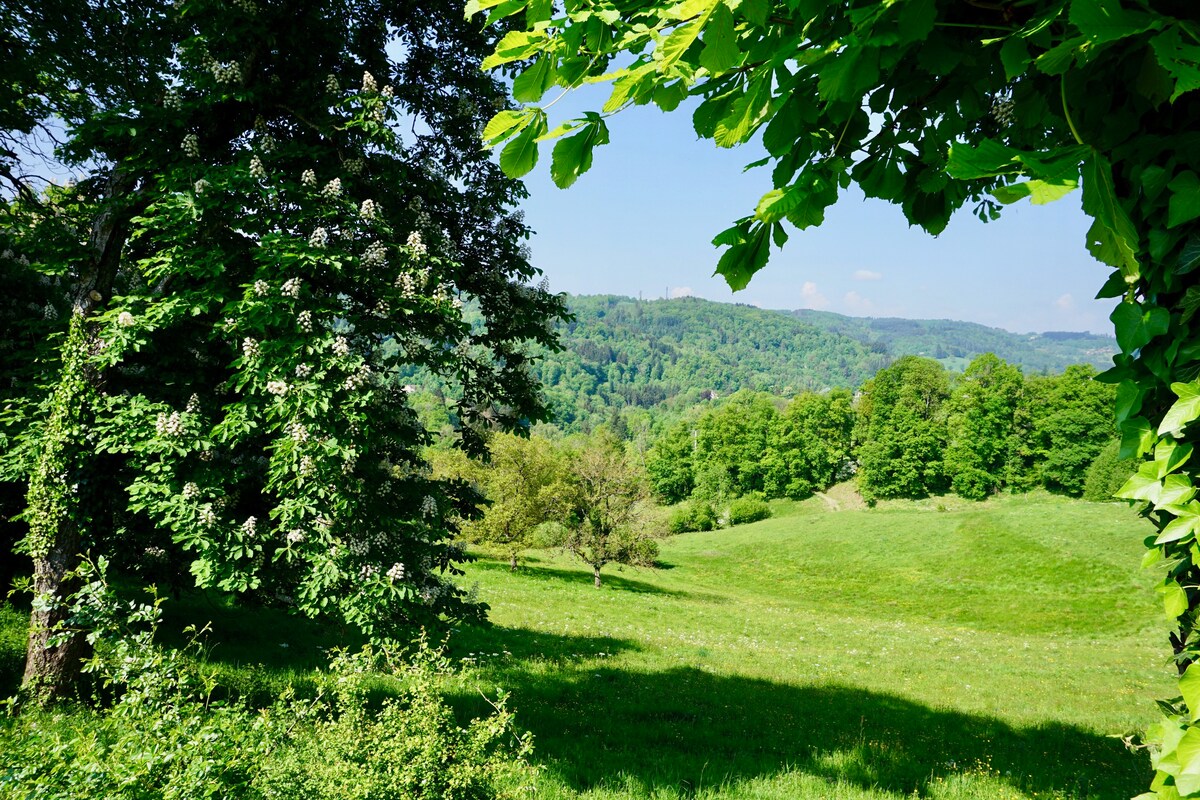 Le Mayet ，迷人的17世纪住宅，自然公园