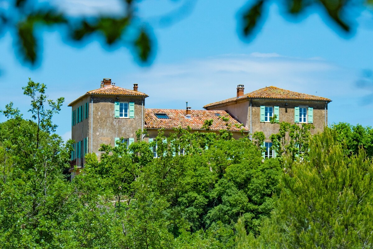 Luxury rental 450 m2 Chateau in Provence with pool