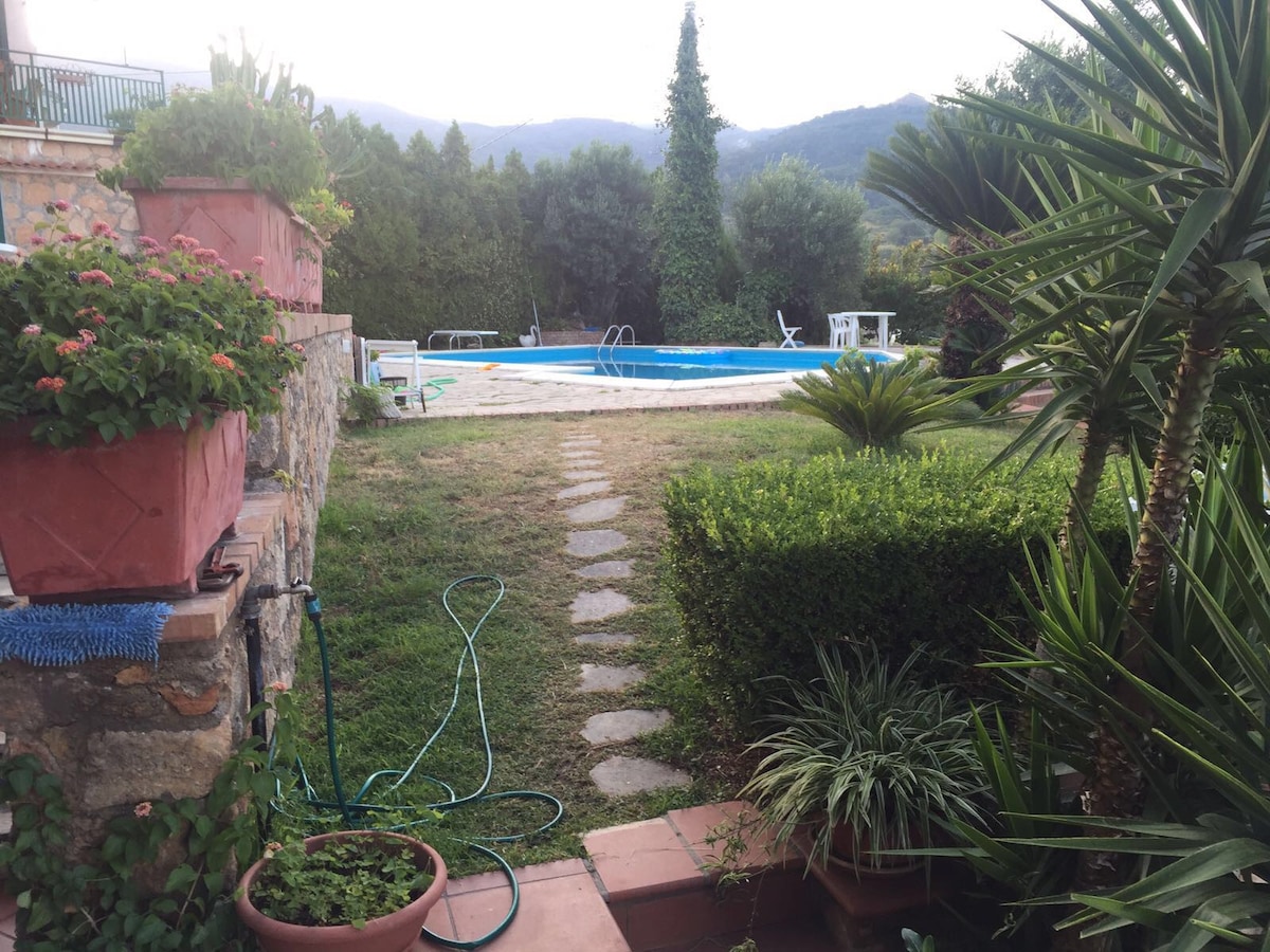 莱蒂西亚别墅（ Villa Letizia ）_绿色植物环绕的私人泳池