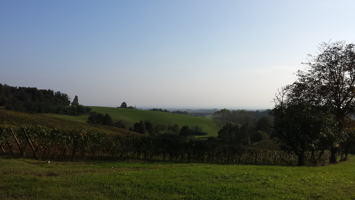 位于马诺拉酒庄（ Colle Manora ）的蒙费拉托（ Monferrato ） “含羞草（ MIMOSA ）”房