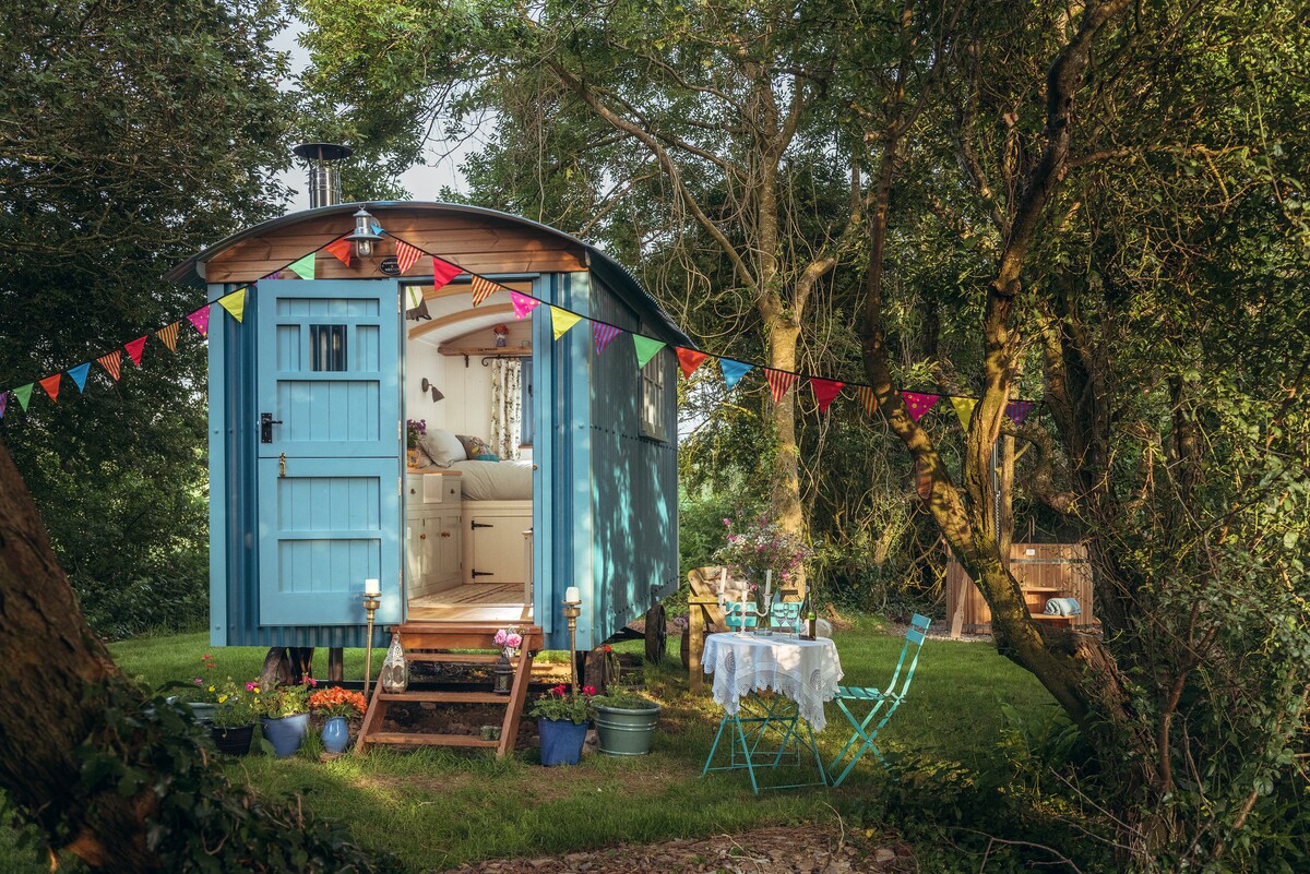 Bluebell Shepherd 's hut - Free Range Escapes