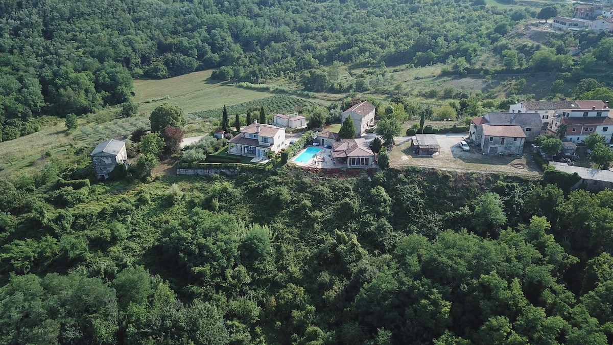 House Lunja ，从私人泳池、伊斯特拉（ Istria ）可欣赏到开放的景观