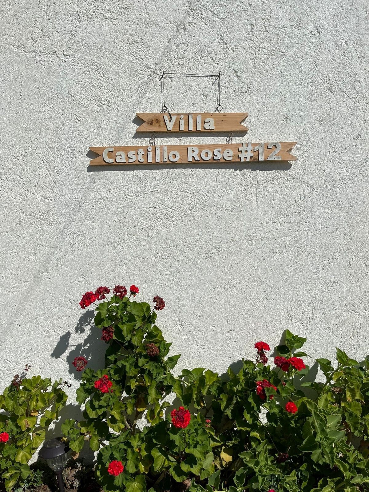 Constanza Villa Castillo Rose