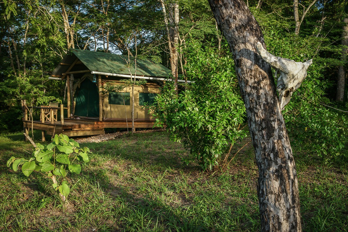 Miseni Retreat Eco-Lodge的野生动物帐篷