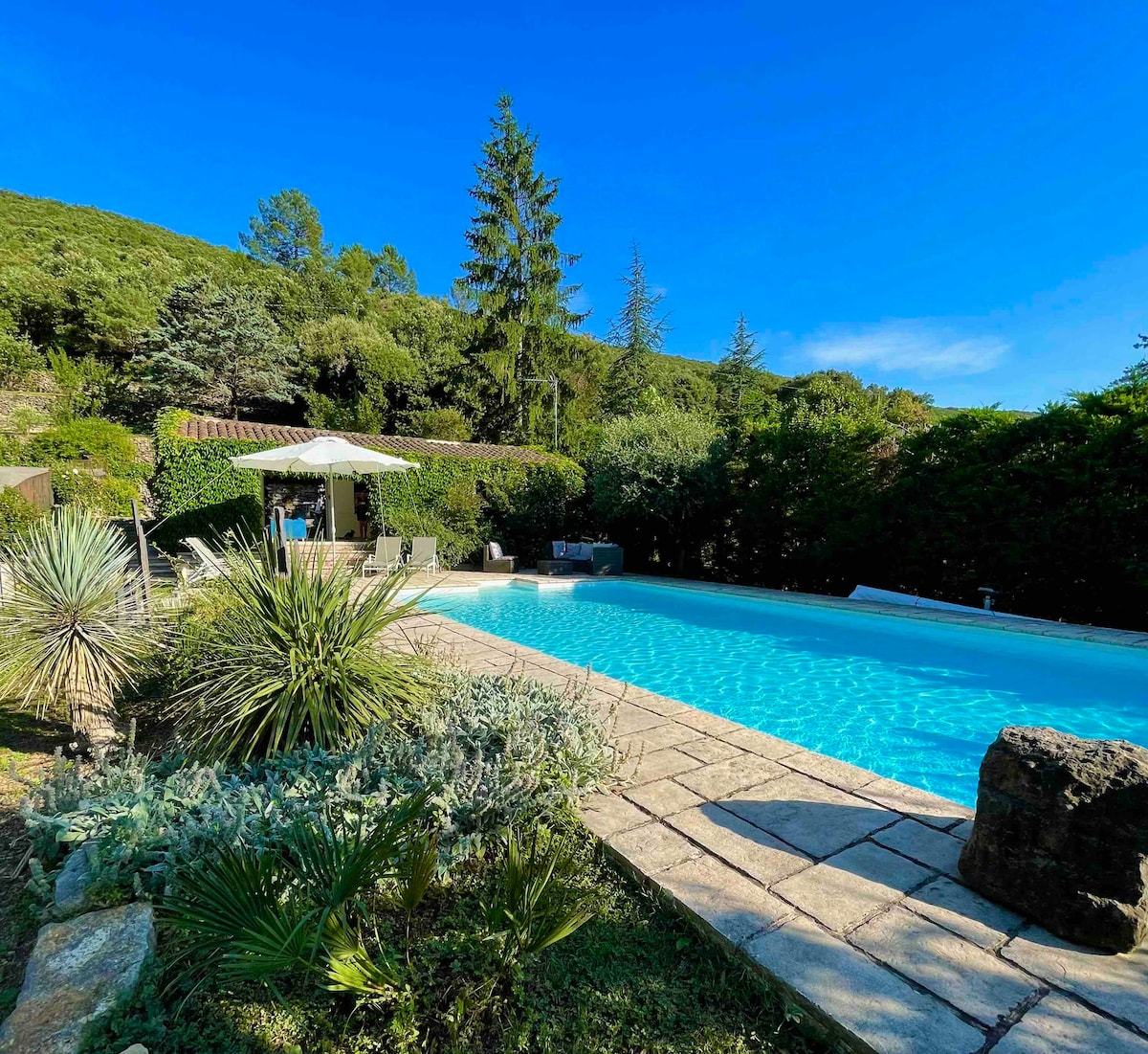 Gîte végétal au calme aux portes
des Cévennes