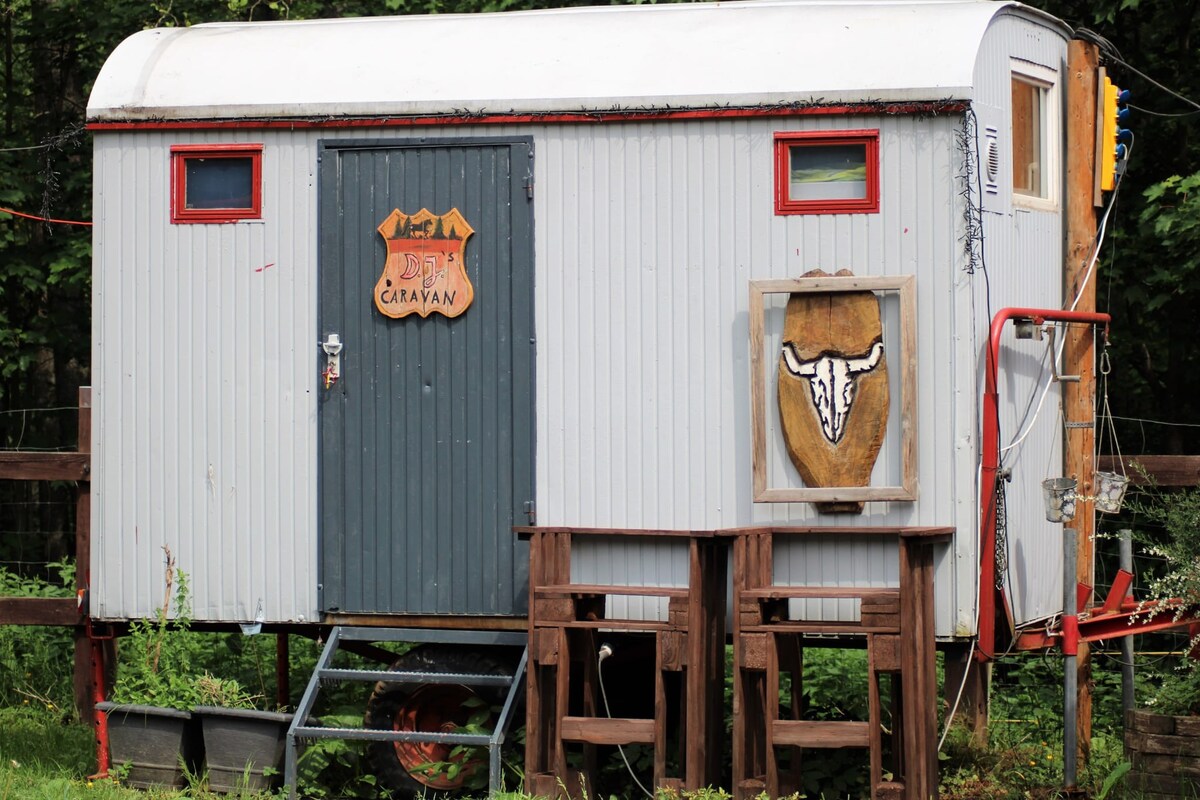 火山运河上的Bauwagen微型住宅。