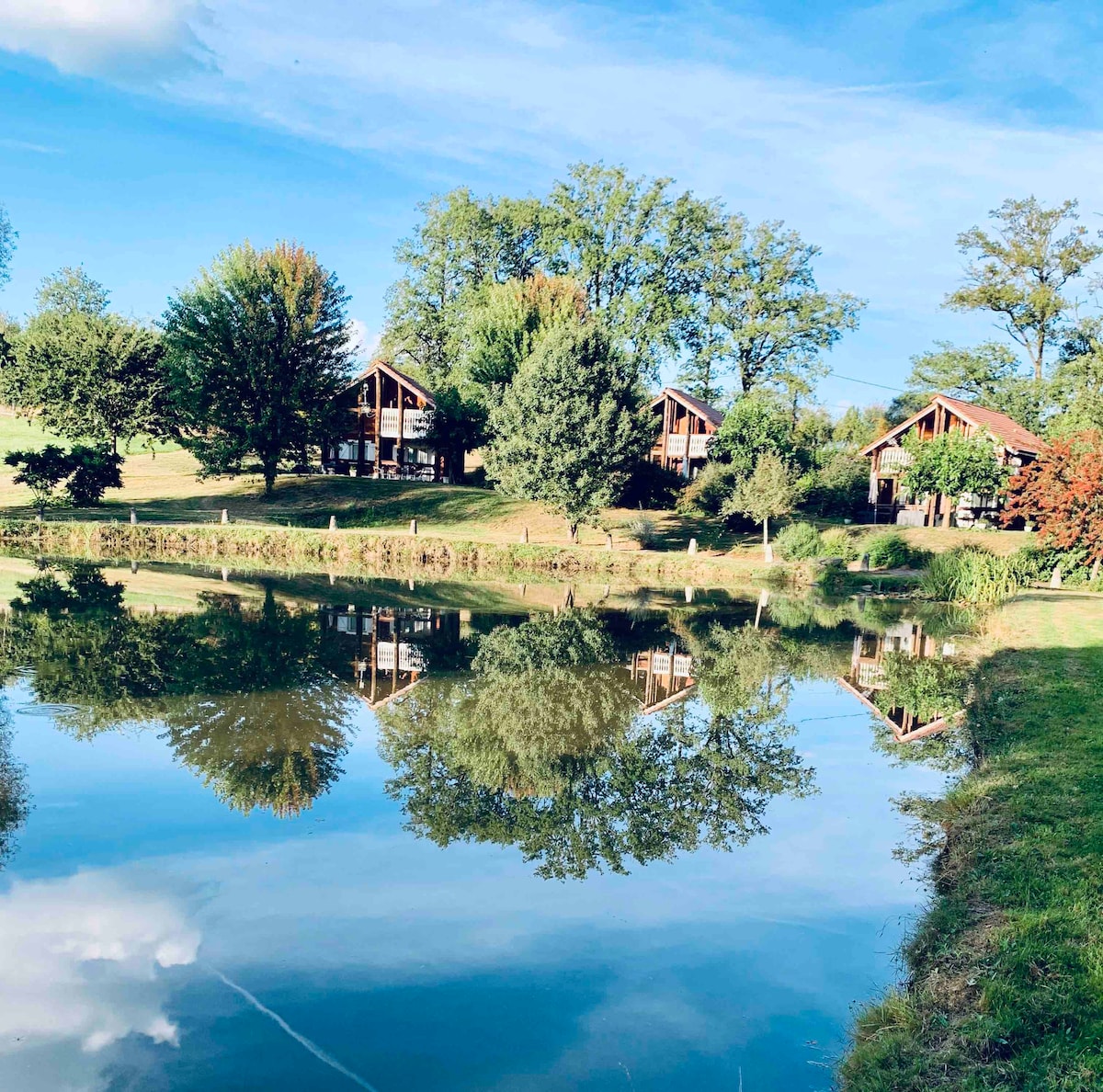 Domaine arboré avec 3 maisons bois