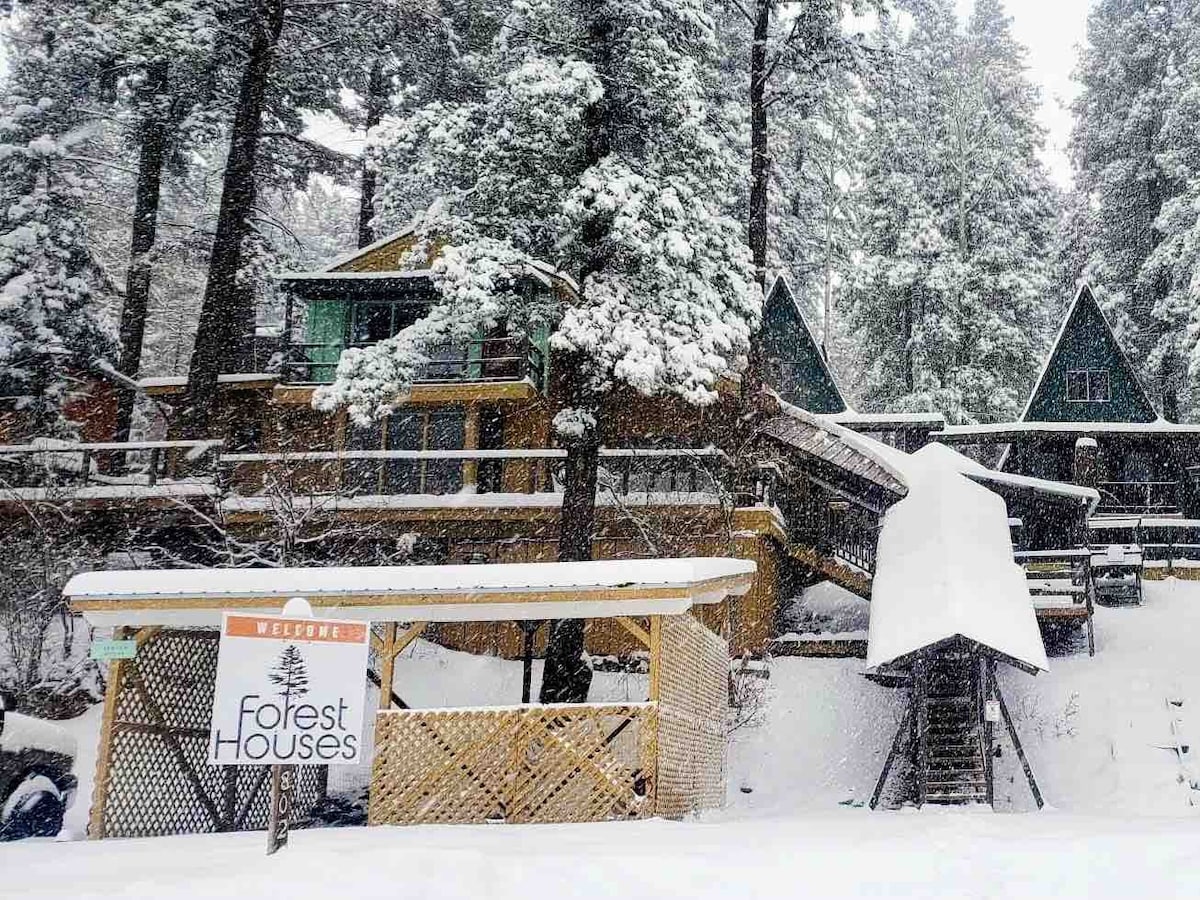 Forest Houses at Chautauqua