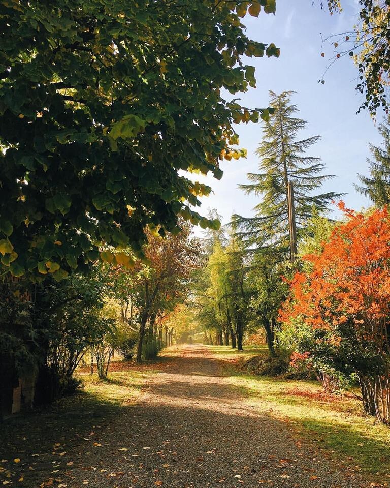 Villa Matilde di Canossa