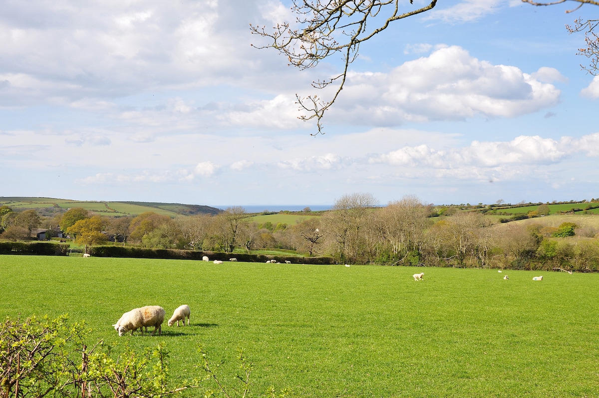 Cartws-converted cart-house on working sheep farm