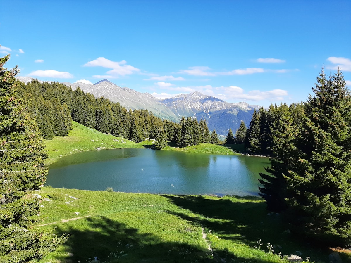 Savoie, location gite, village, montagne