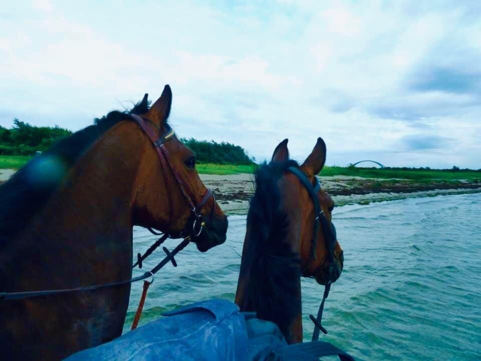 阳光岛Fehmarn -夏洛特阁楼公寓