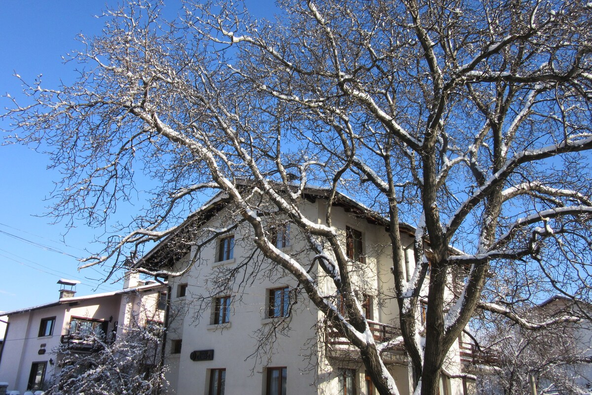 双人客房* Sema Guest House * Bansko