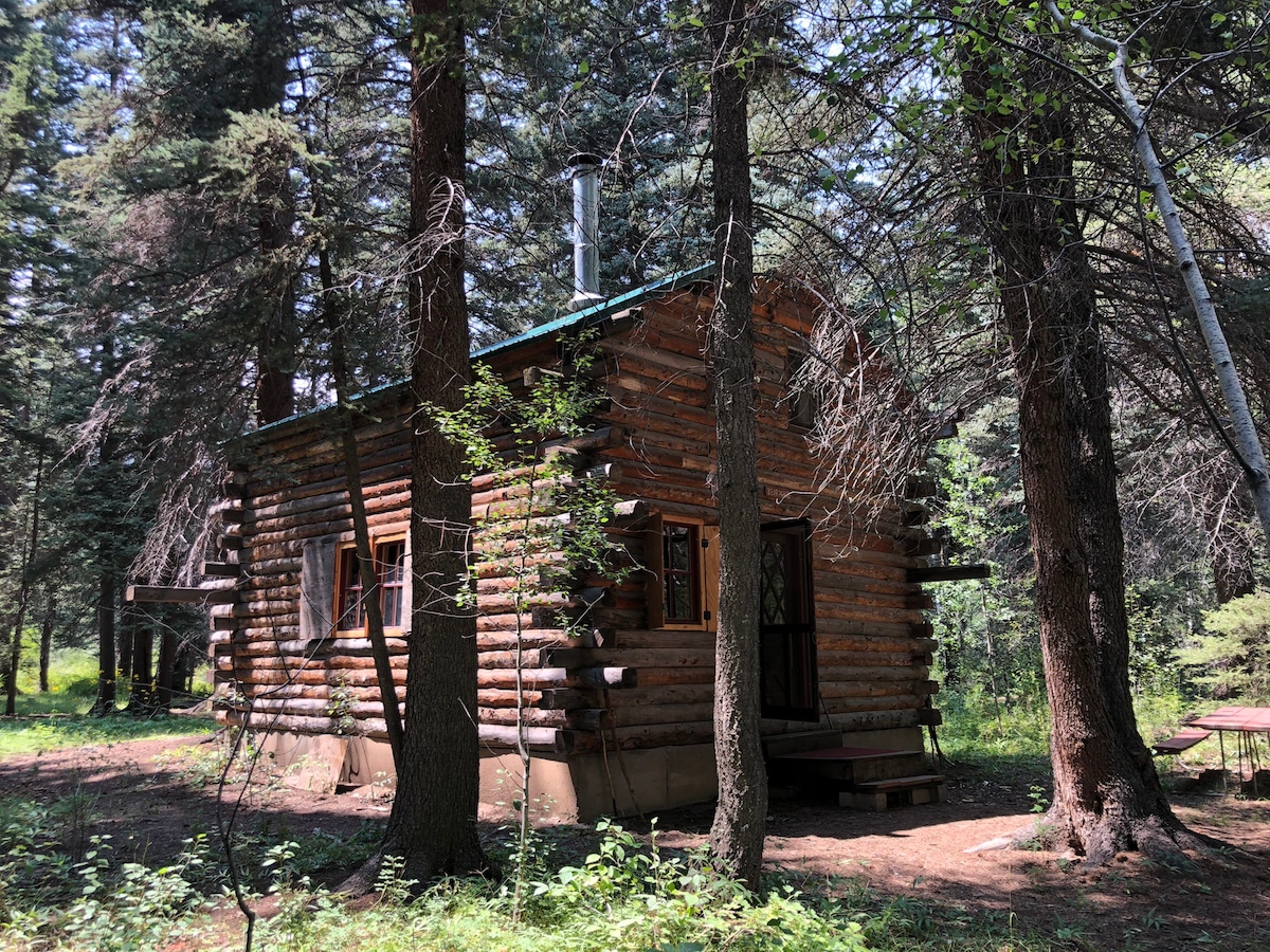 Cabin ~ River ~ Wilderness at the Old Science Camp