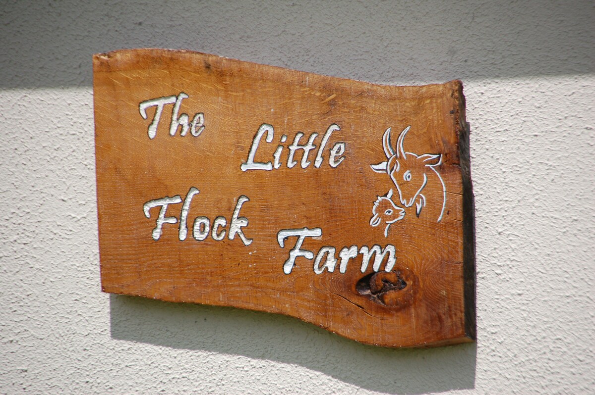 「小羊群农场」：里夫湖（ Lough Ree ）