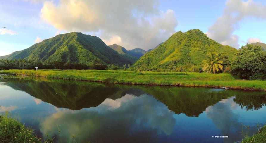 Îles du Vent的民宿