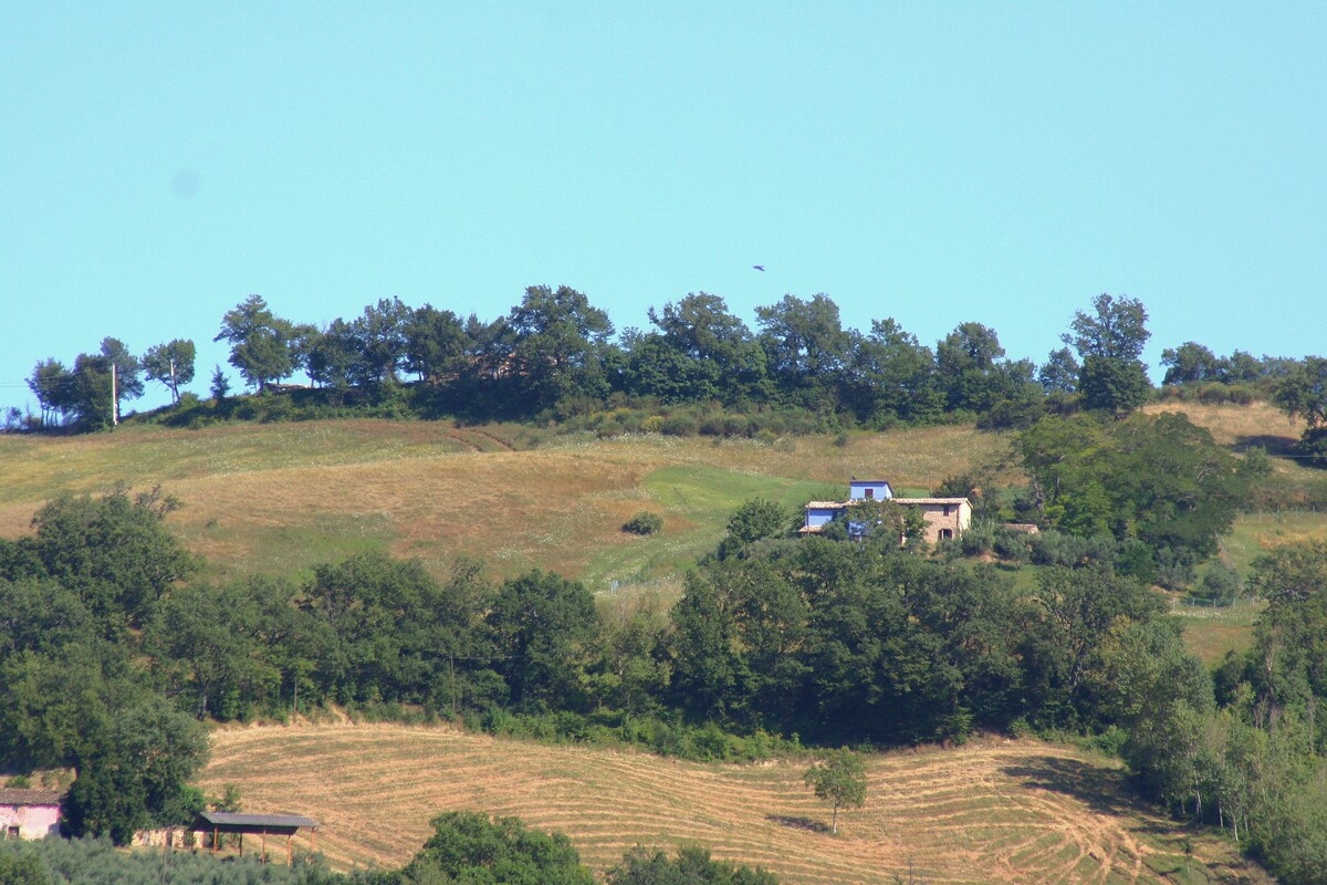 Il Borghetto dei Glicini - Casa piccola (Bocciolo)