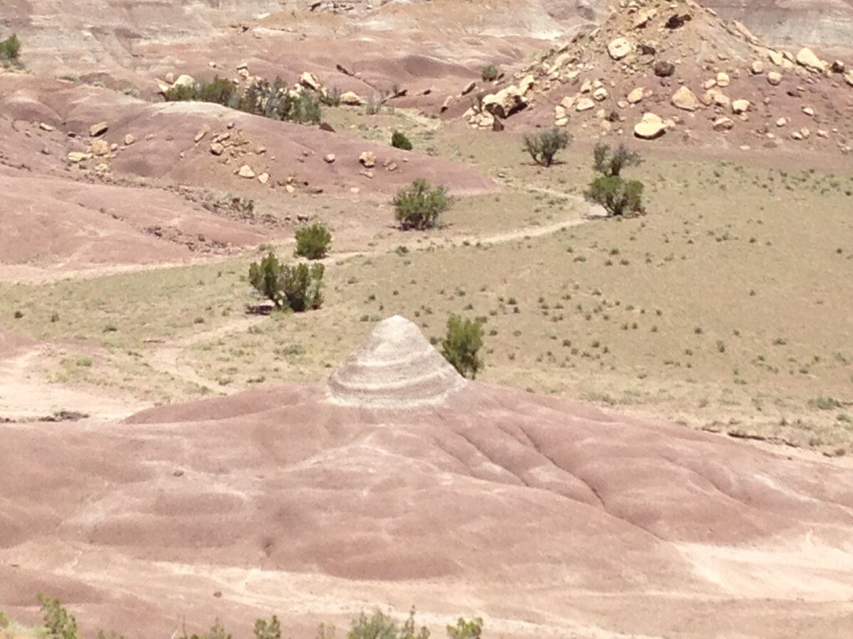 #PriusLife Campsite on Remote Wilderness Arizona