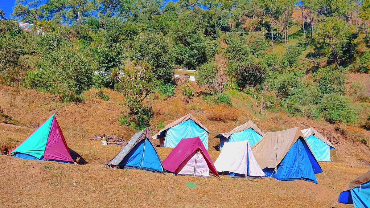 Best Jungle camping Nainital. ( bed & breakfast).