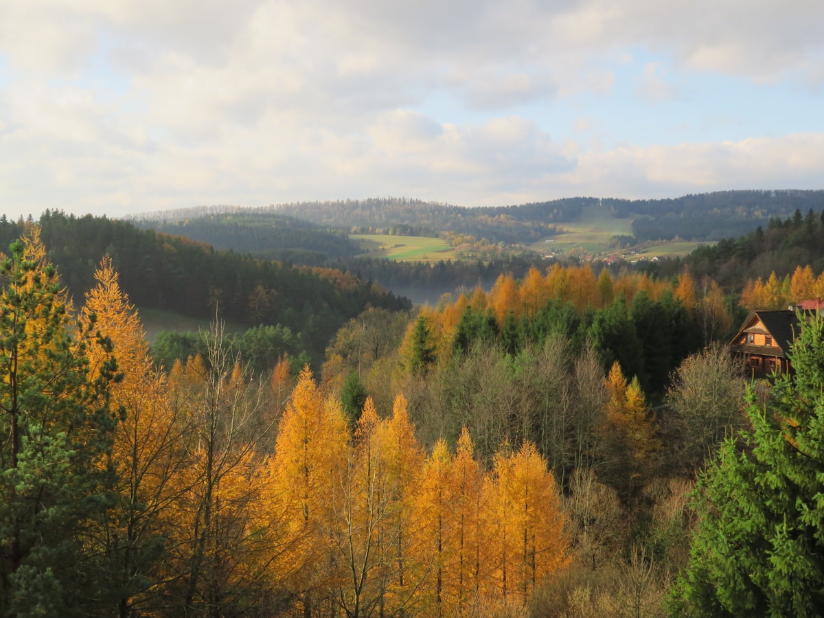 Apartment Zielony View - Bieszczady住宿。