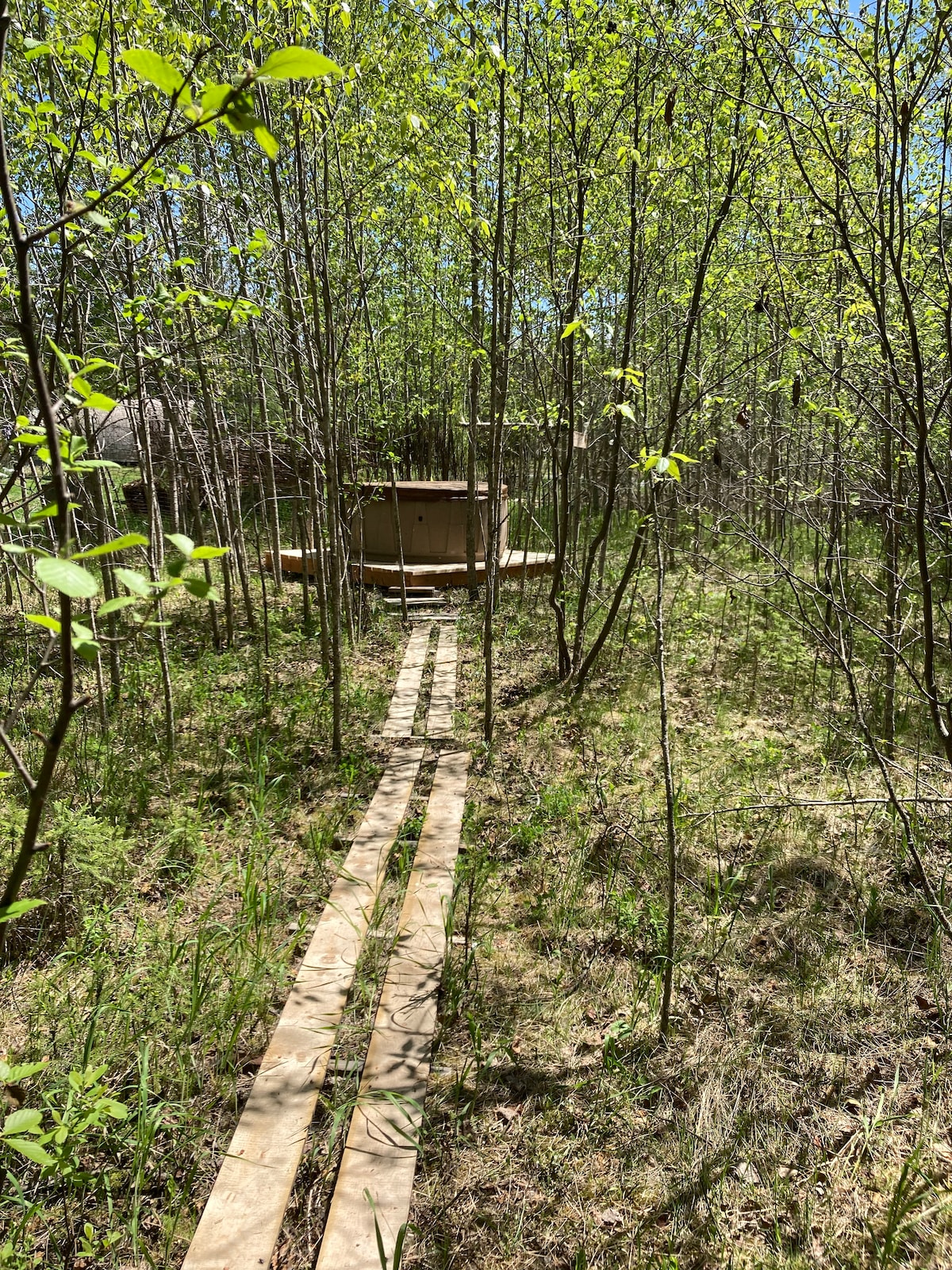 A small cabin in the woods with hot tub & internet