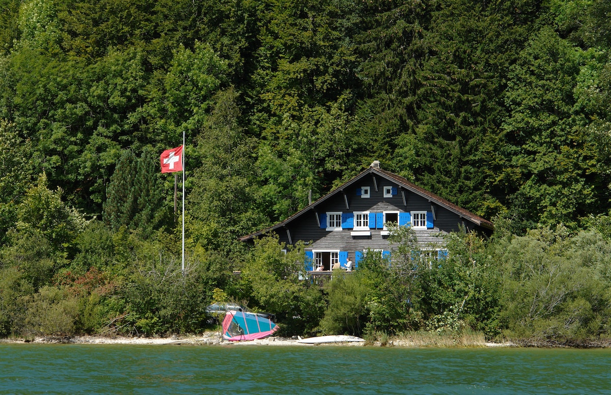 Le Clapotis -乔湖（ Lake Joux ）海岸