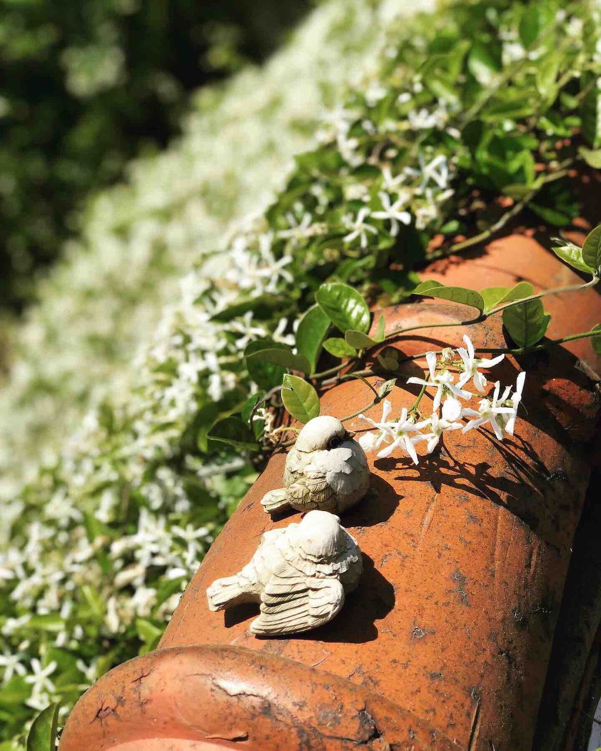 Didimdol Guesthouse Stepping Stone Guesthouse