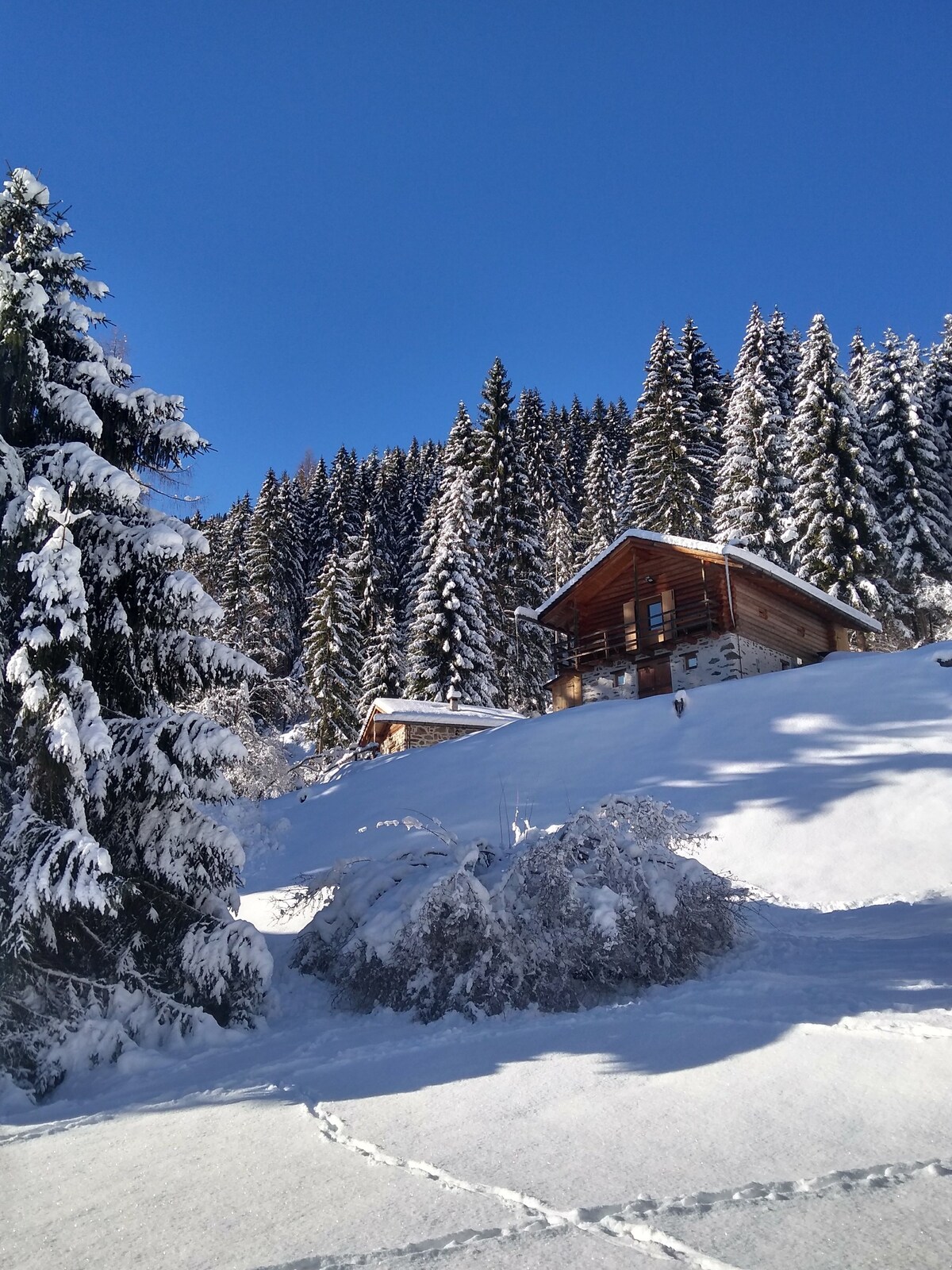 「大」度假木屋和Dolomites Retreat