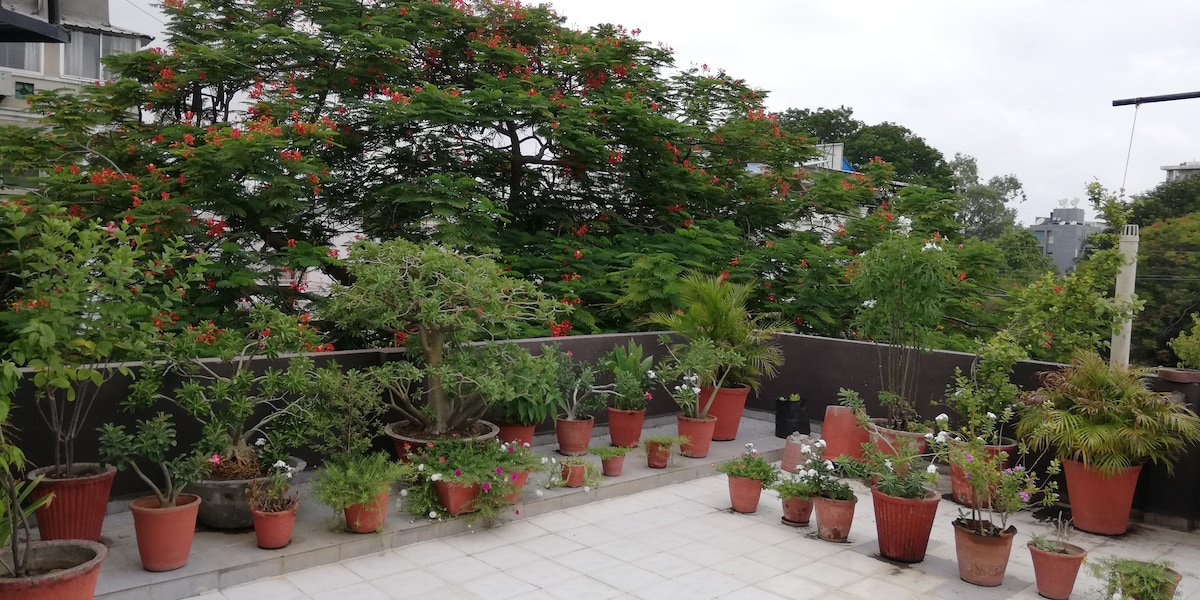 Spacious room, Wifi , n a beautiful terrace garden