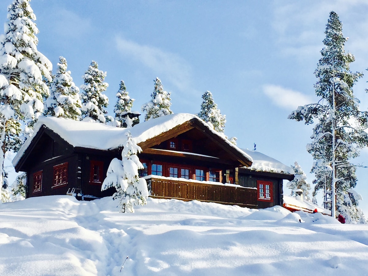 Jotunheimen/Lemonsjøen舒适小屋