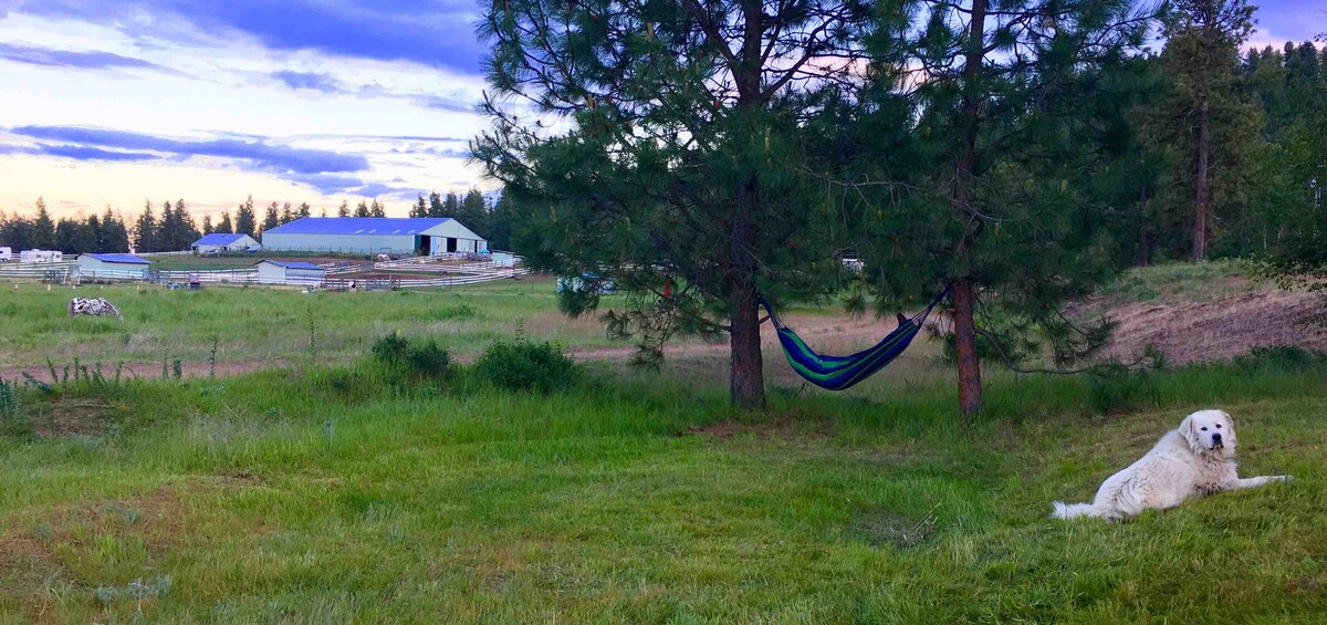 正宗牧场露营地# 3舒适的吊床和美景