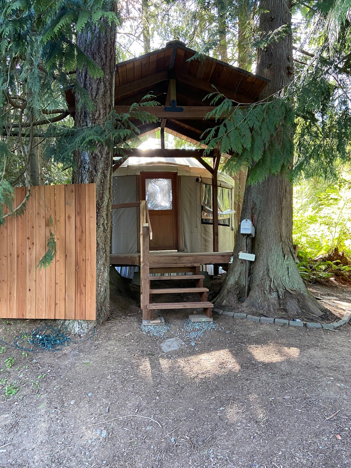 Devils Mountain Yurt