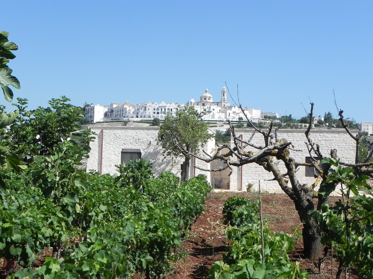 Antica Lamia Bellavista