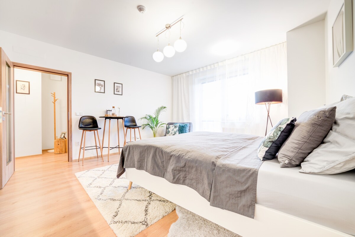 RoomCity Brno Apartments No ° 33