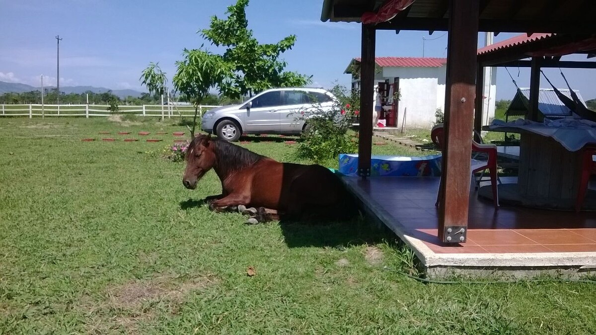 Paratebueno Finca o Granja