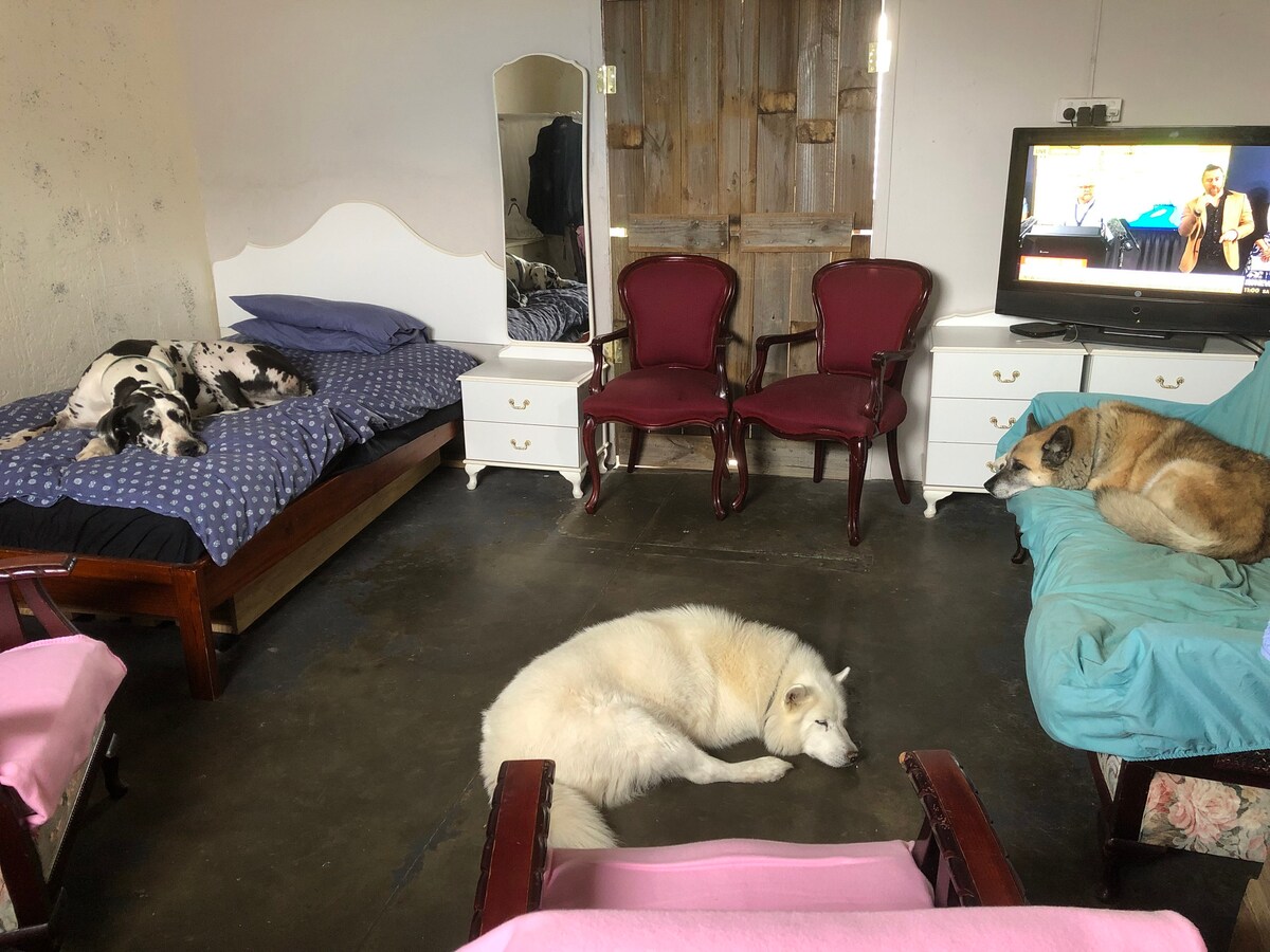The Doghouse… The Dutchess Dogs Only Hotel
