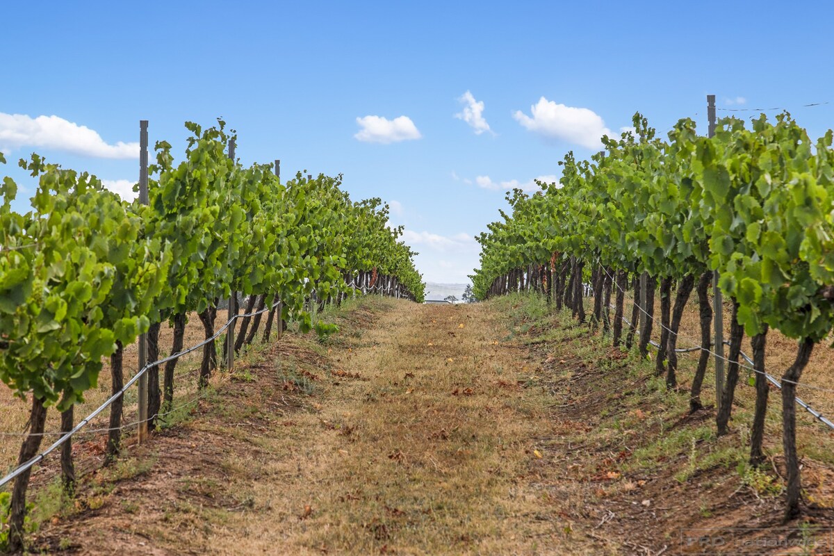 Blackwattle Luxury Vineyard Retreat