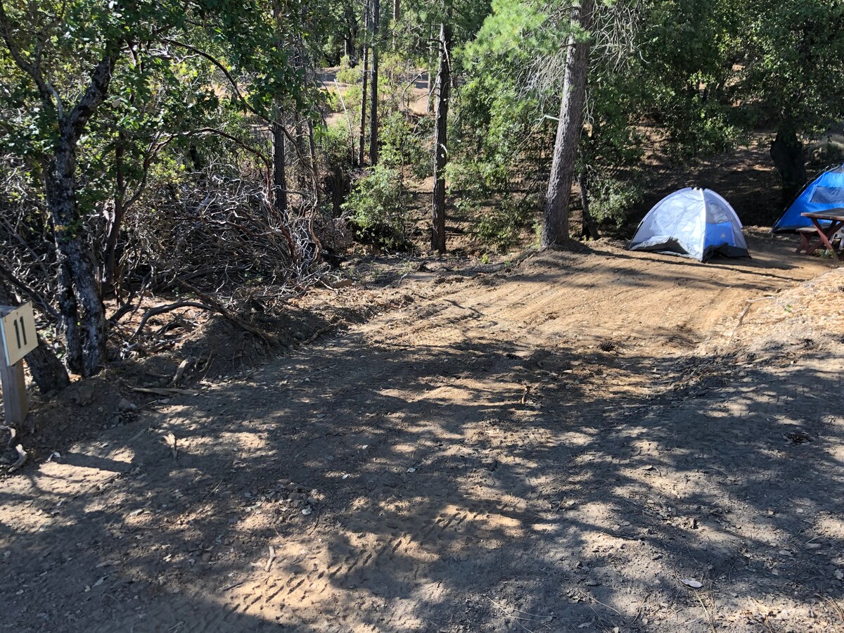 # 11 Yosemite的荒野帐篷/房车露营24米