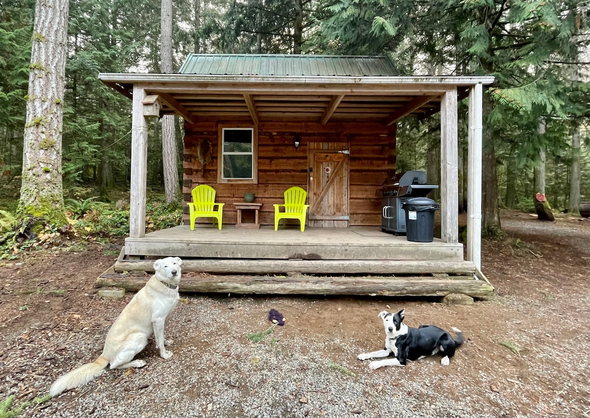 Broad Axed Rustic Log Cabin w/ Cozy Woodstove
