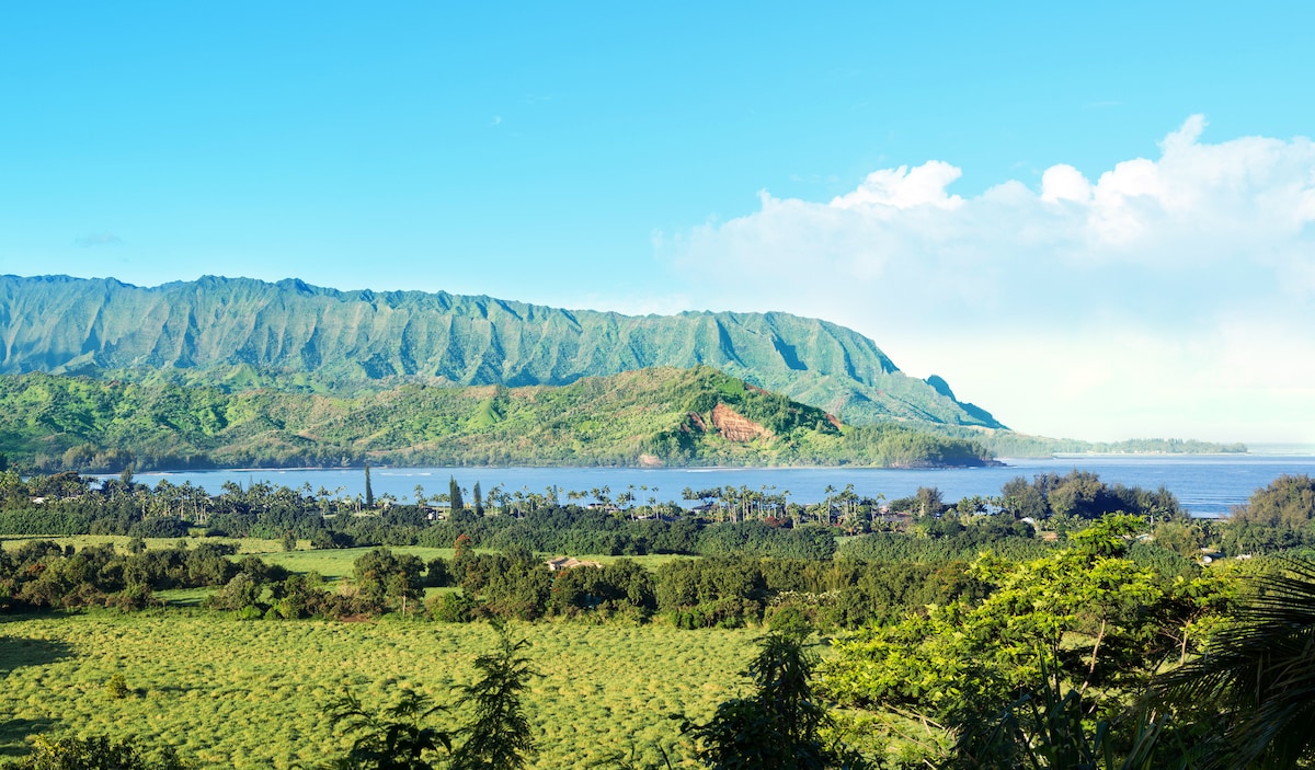 全新！ Hanalei Bay顶层公寓，可欣赏海景