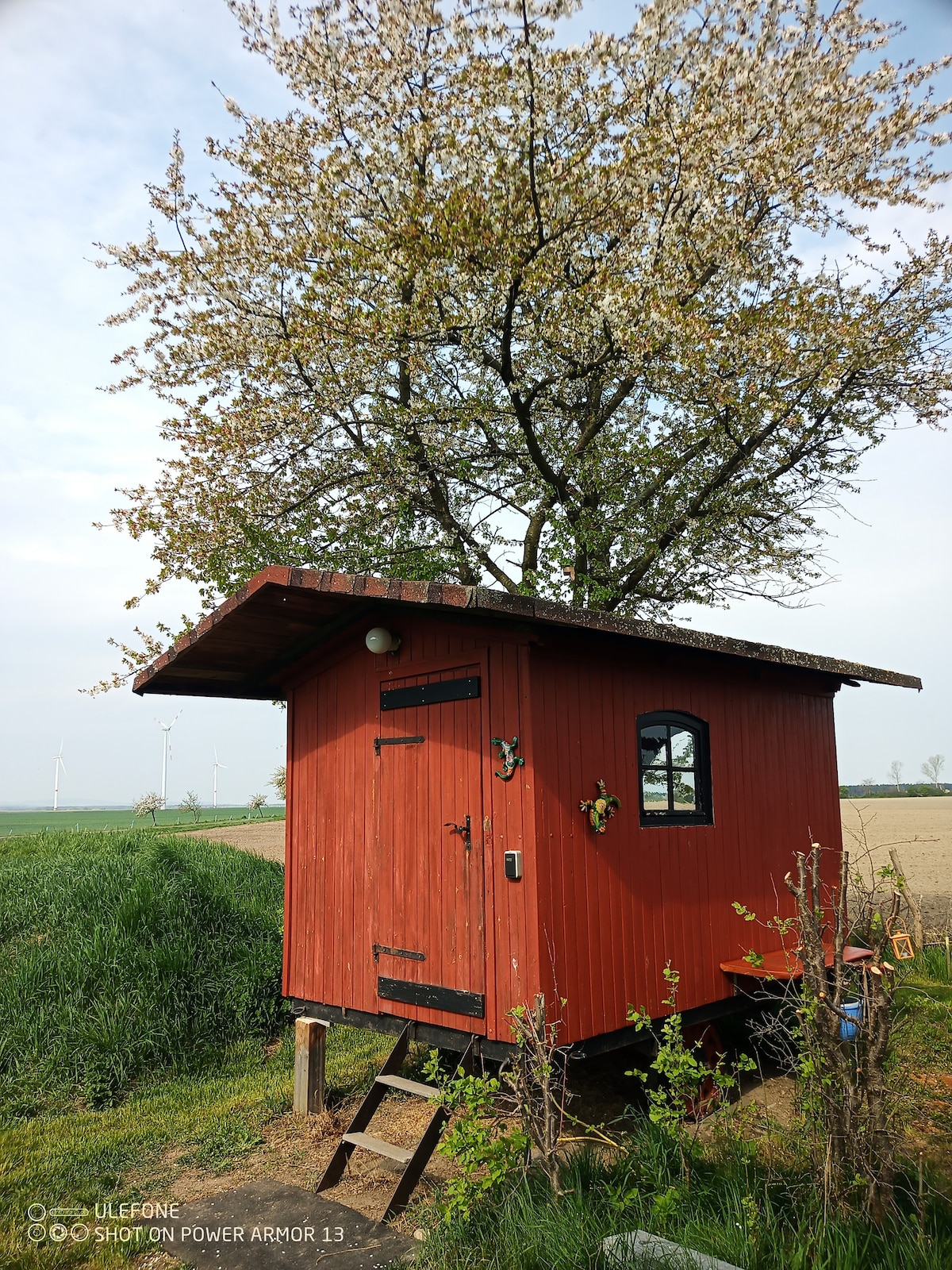 Gemütlicher Schäferwagen